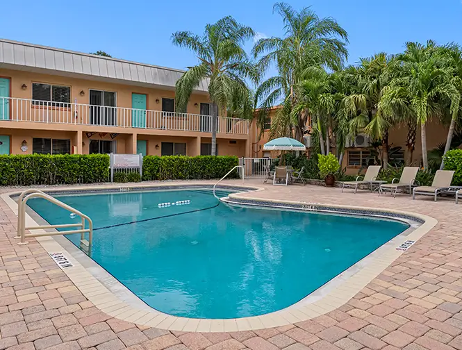 view of the pool surrounded by palm trees