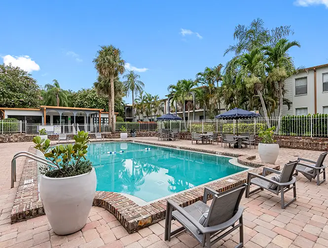 view of the pool surrounded by palm trees