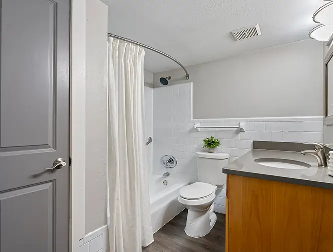 view of the bathroom